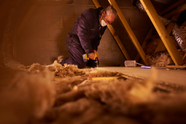 Best Commercial Insulation Services  in Hanley Hills, MO